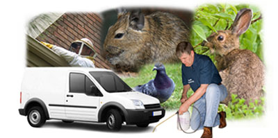 The Boldons local van